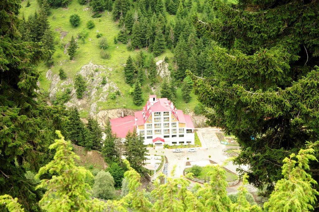 Hotel Green Valley Savsat Exteriör bild
