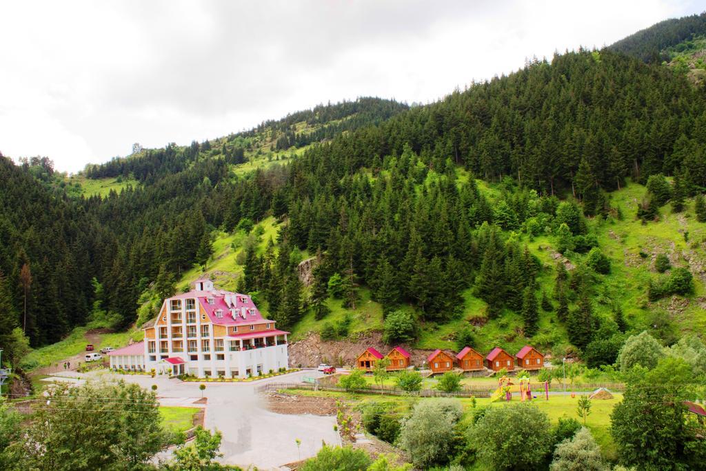 Hotel Green Valley Savsat Exteriör bild