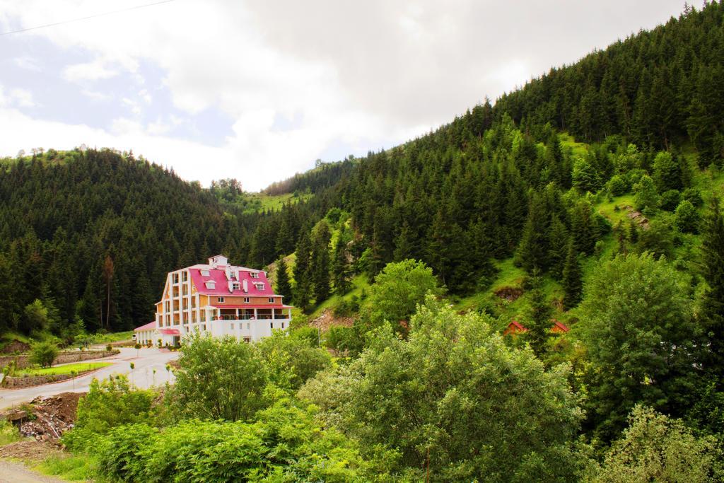 Hotel Green Valley Savsat Exteriör bild