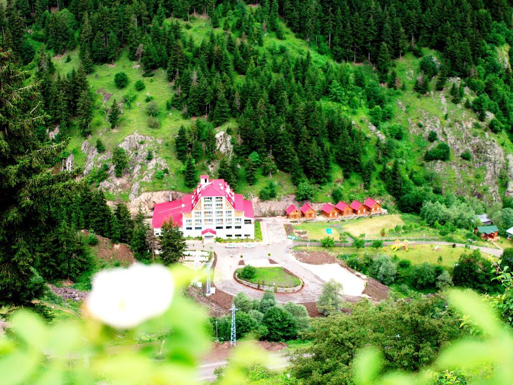 Hotel Green Valley Savsat Exteriör bild