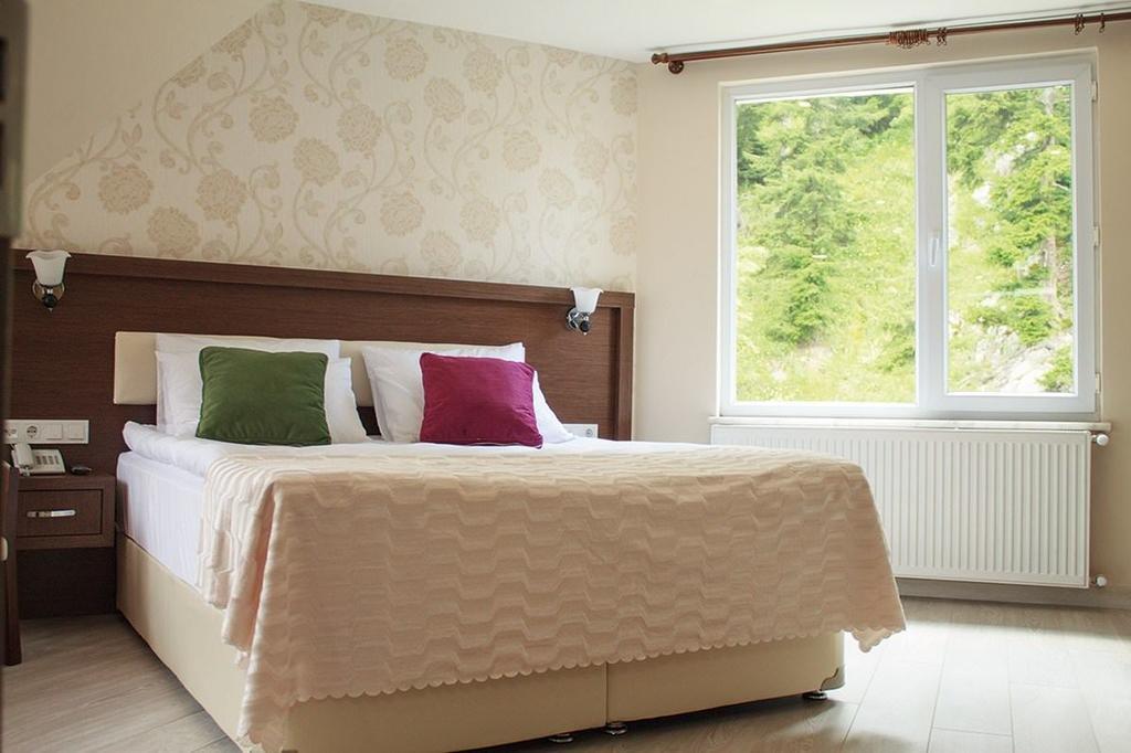 Hotel Green Valley Savsat Rum bild
