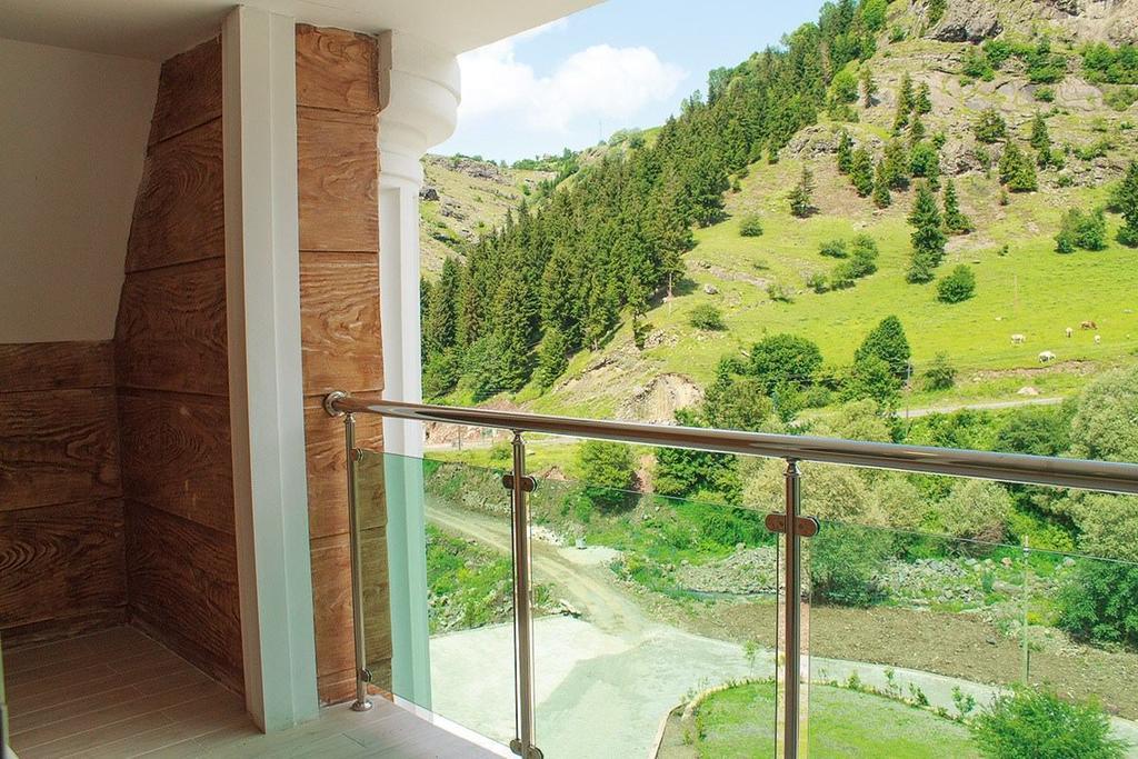 Hotel Green Valley Savsat Rum bild