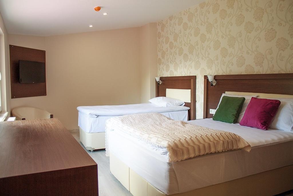 Hotel Green Valley Savsat Rum bild